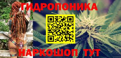 PSILOCYBIN Обнинск