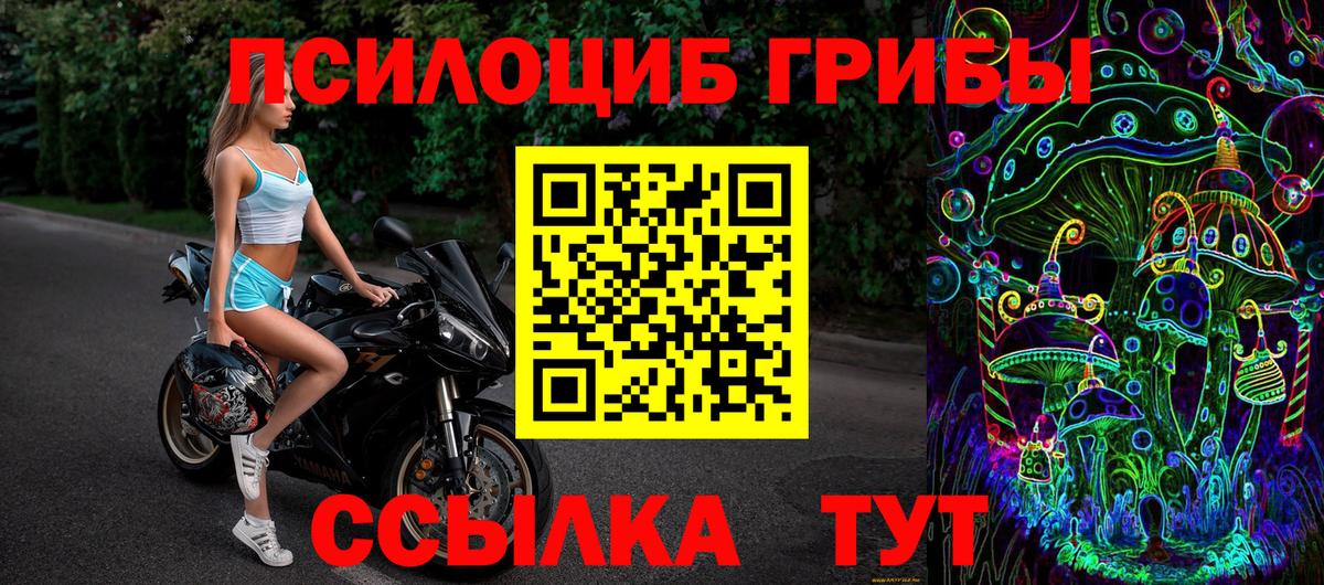 Галлюциногенные грибы Cubensis  Вход с VPN  Сорочинск 